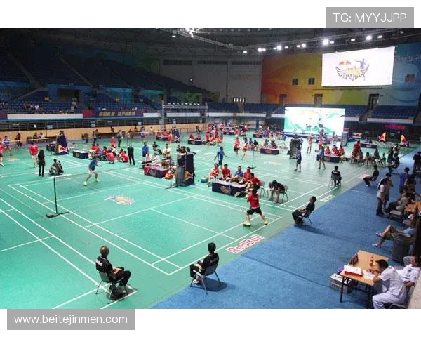 成都羽毛球队总决赛技术分析与表现评估全景解读 成都羽毛球队总决赛技术分析与表现评估全景解读